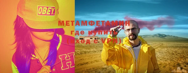 гидра Елизово