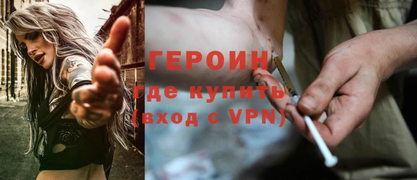 гидра Елизово