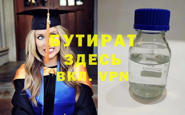 гашик Ельня