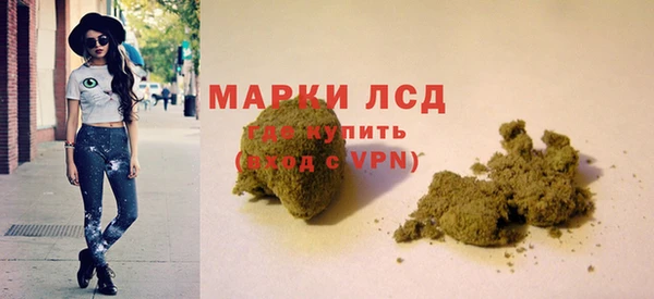 гашик Ельня