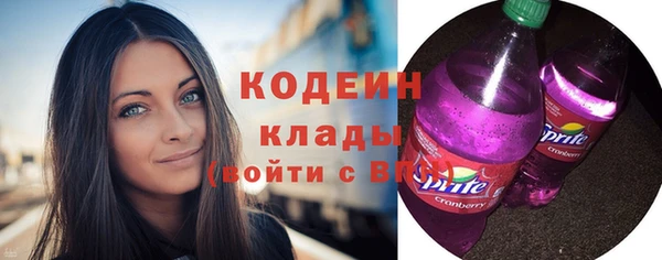 гашик Ельня