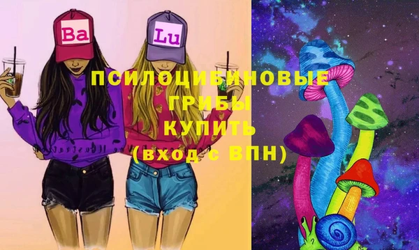 гидра Елизово