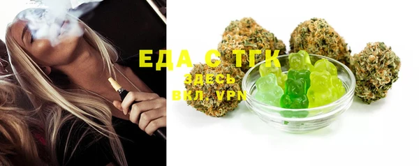 гашик Ельня