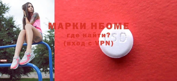 мдпв Елабуга
