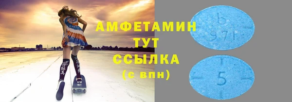 мдпв Елабуга