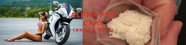 гидра Елизово