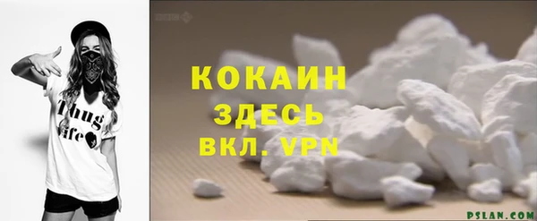 гидра Елизово