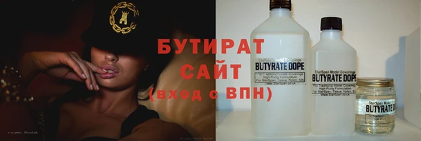гашик Ельня