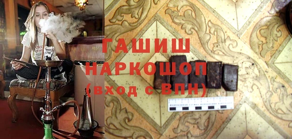 гашик Ельня