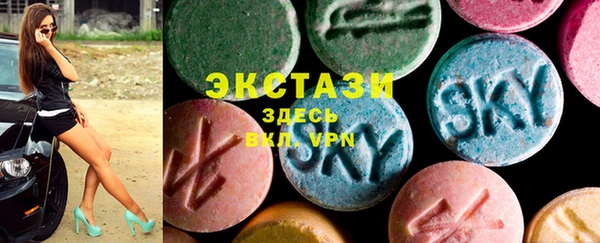 мдпв Елабуга