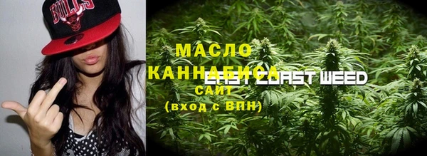 мдпв Елабуга