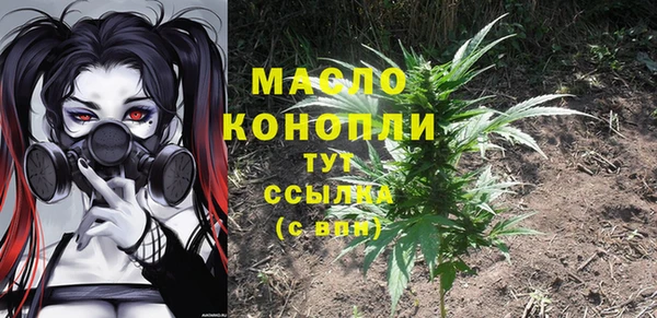 мдпв Елабуга