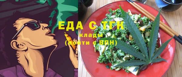 мдпв Елабуга