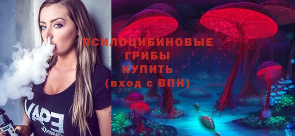 PSILOCYBIN Дмитров