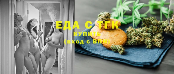 гашик Ельня