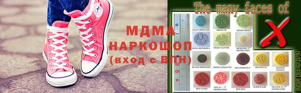 гидра Елизово