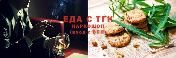 гашик Ельня