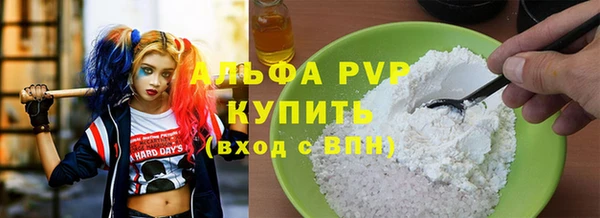 мдпв Елабуга
