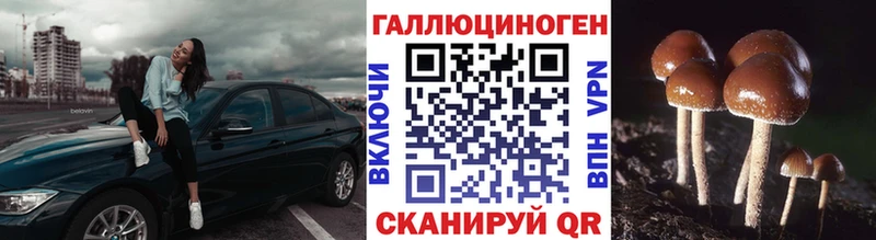 Псилоцибиновые грибы мухоморы  Купить где  Баксан 